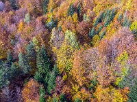 Beskid Niski